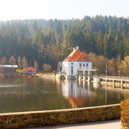 Ferienhaus Nr 6, Typ A, Feriendorf Jaegerpark, Bayerischer Wald Viechtach Bagian luar foto